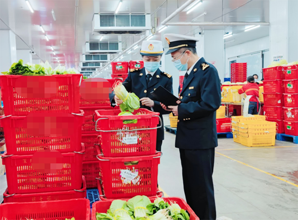 深圳到香港物流：去年供港蔬菜超过60万吨