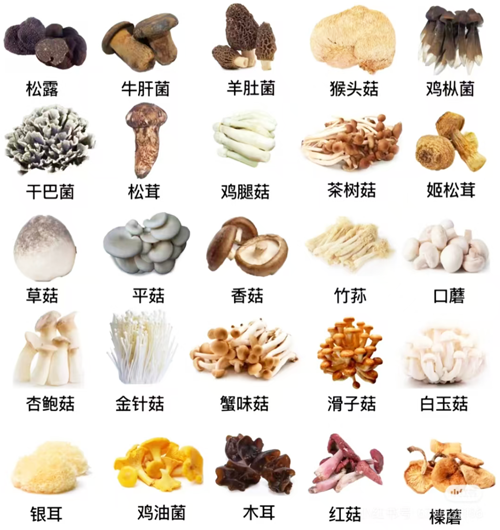 微信图片_2025-10-23_152449_426.png