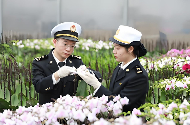 1786955537187417.png 鲜花进口.png